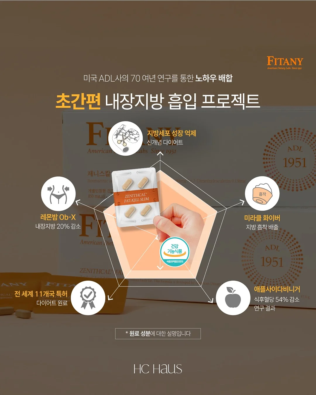 오렌지 초콜릿 3