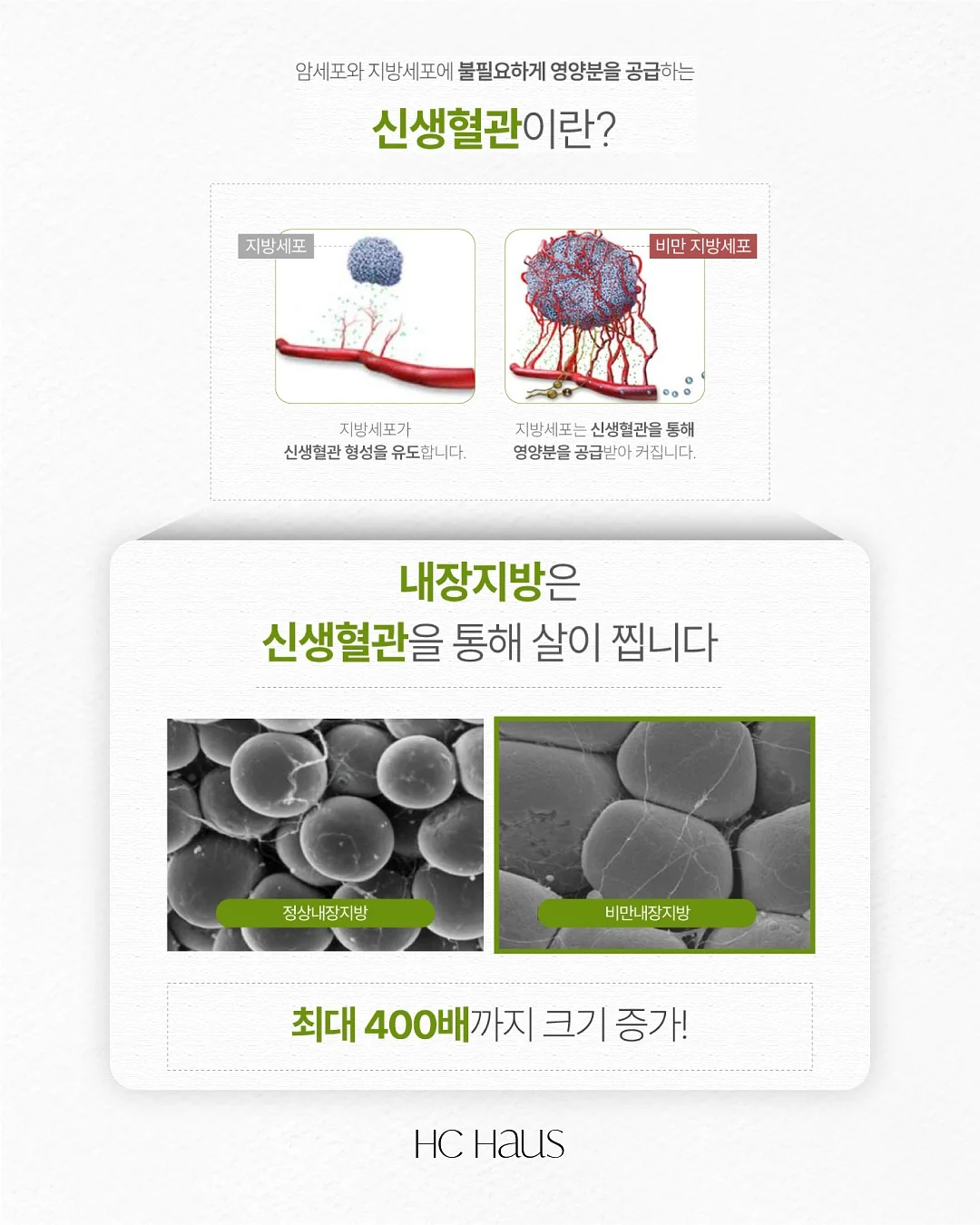 오렌지 초콜릿 5