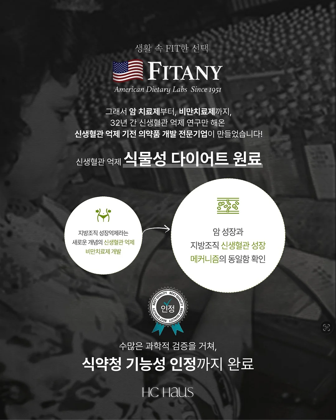 오렌지 초콜릿 6