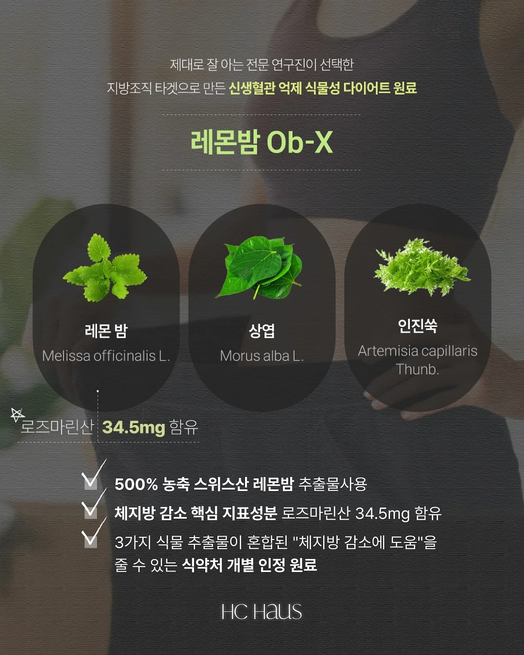 오렌지 초콜릿 7