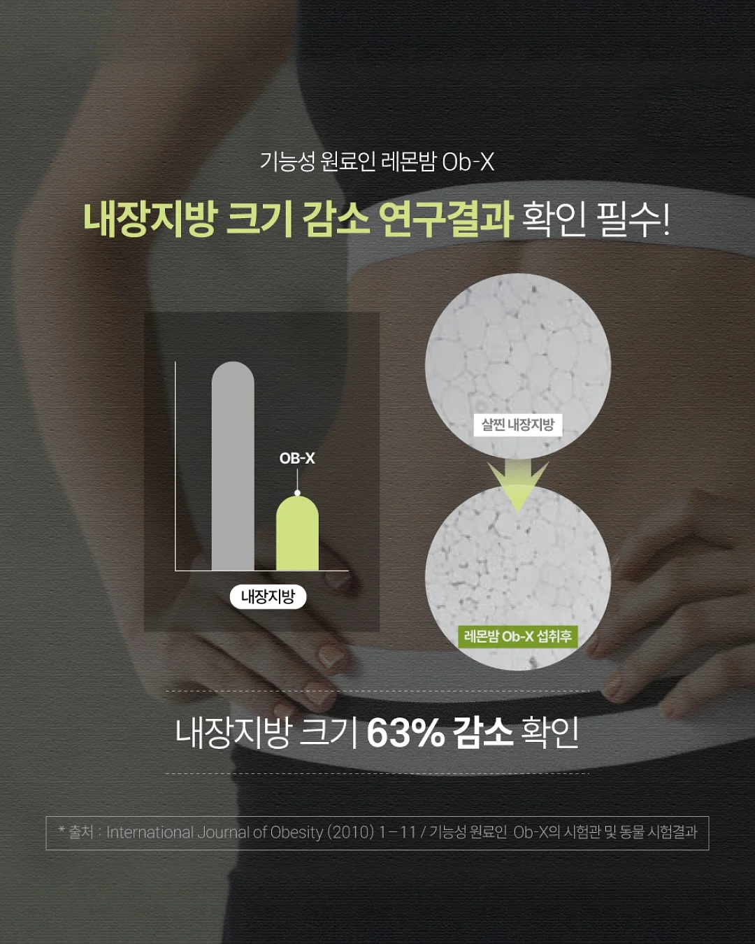 오렌지 초콜릿 8
