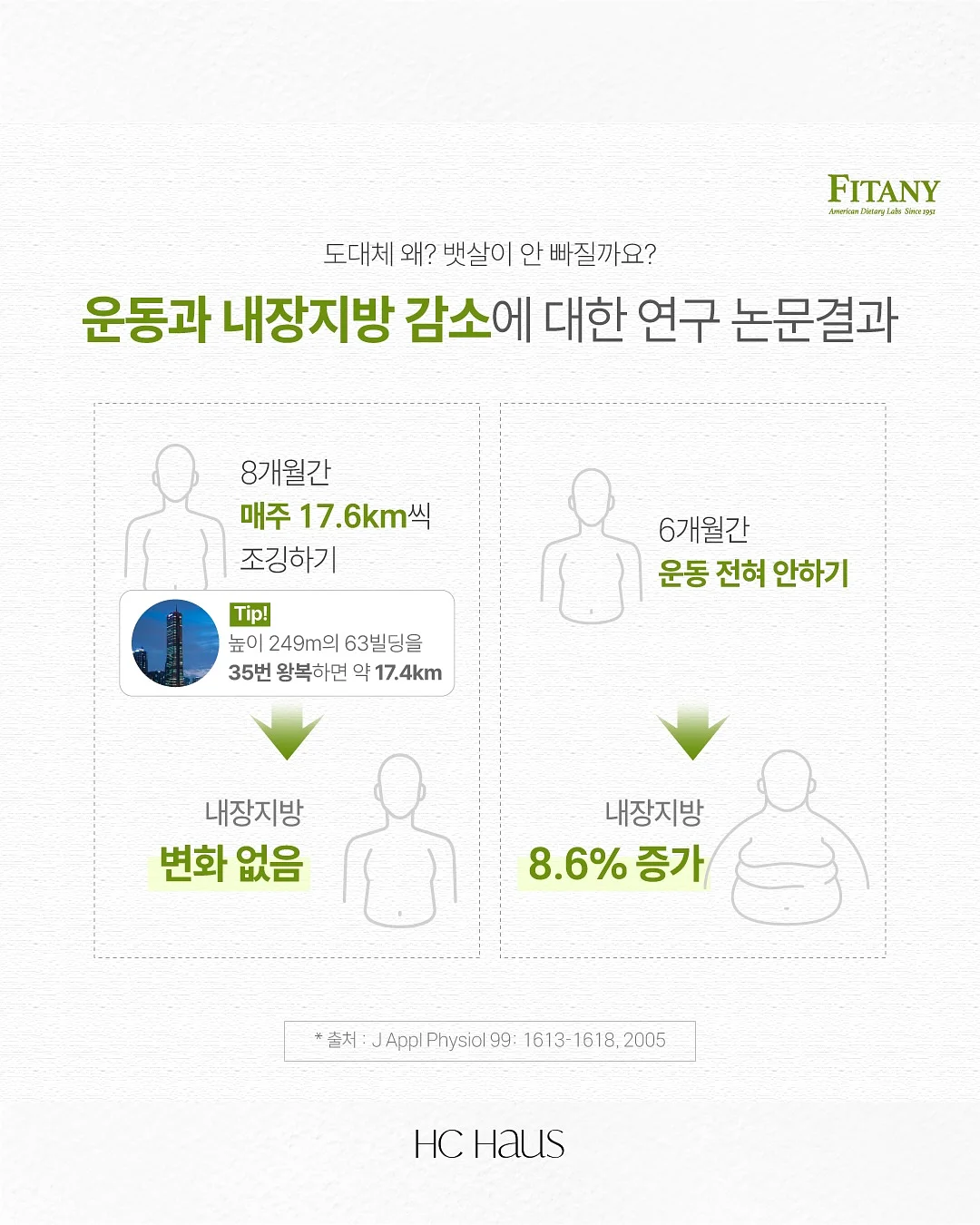 오렌지 초콜릿 9
