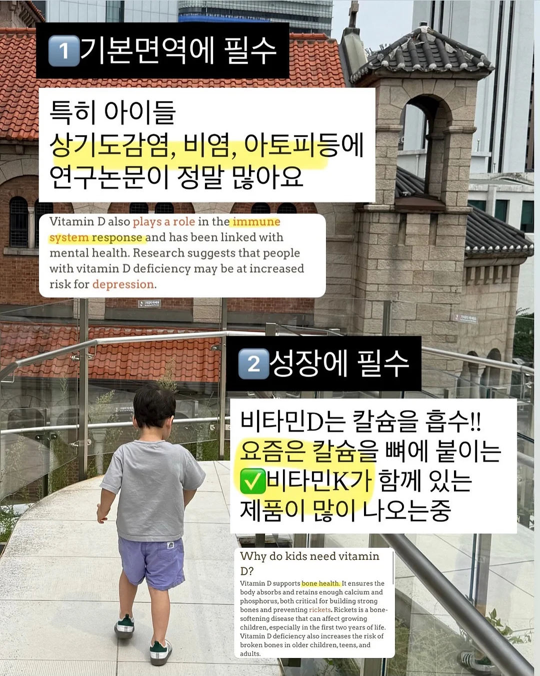 빅샵 인기 세트 5