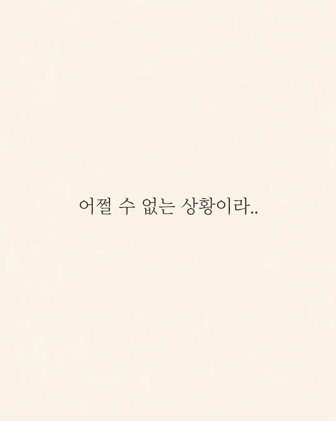 화과자 세트 1