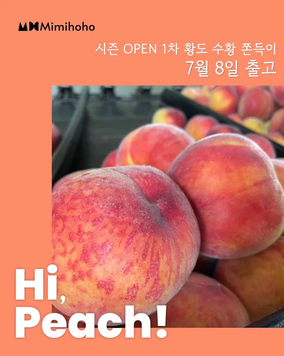 두바이 브라우니 1