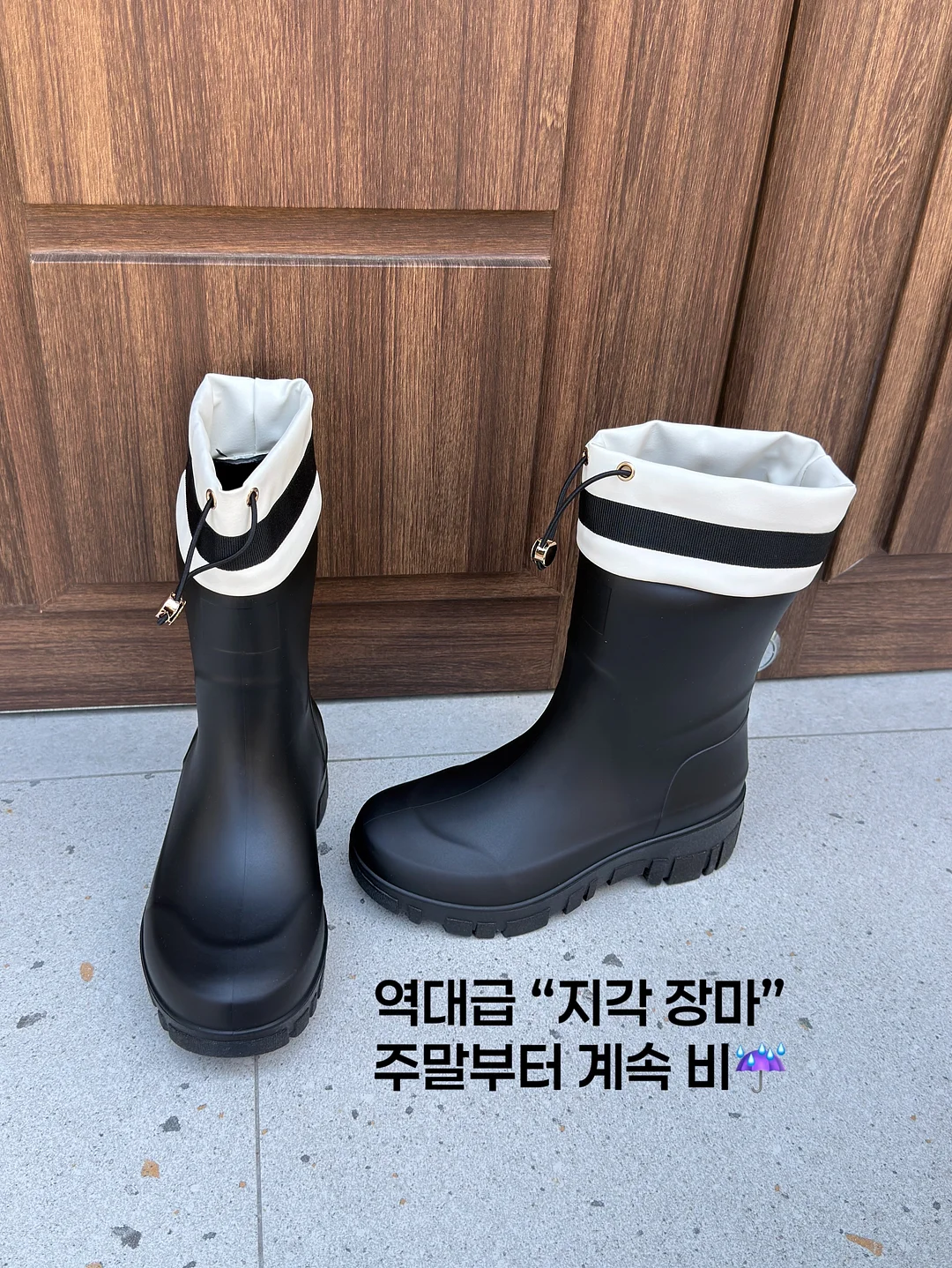 쇼펜하우어 인생수업 2