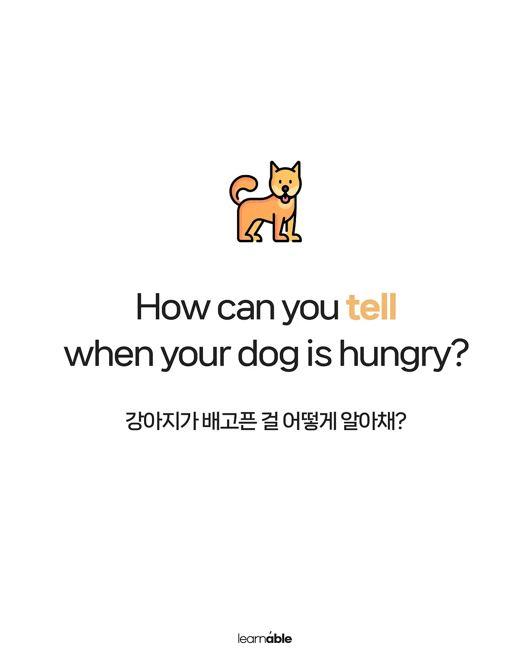 리에나 스퀘어넥 드레스 5