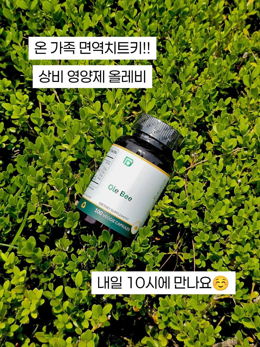이브팬츠+슈퍼토끼티 10