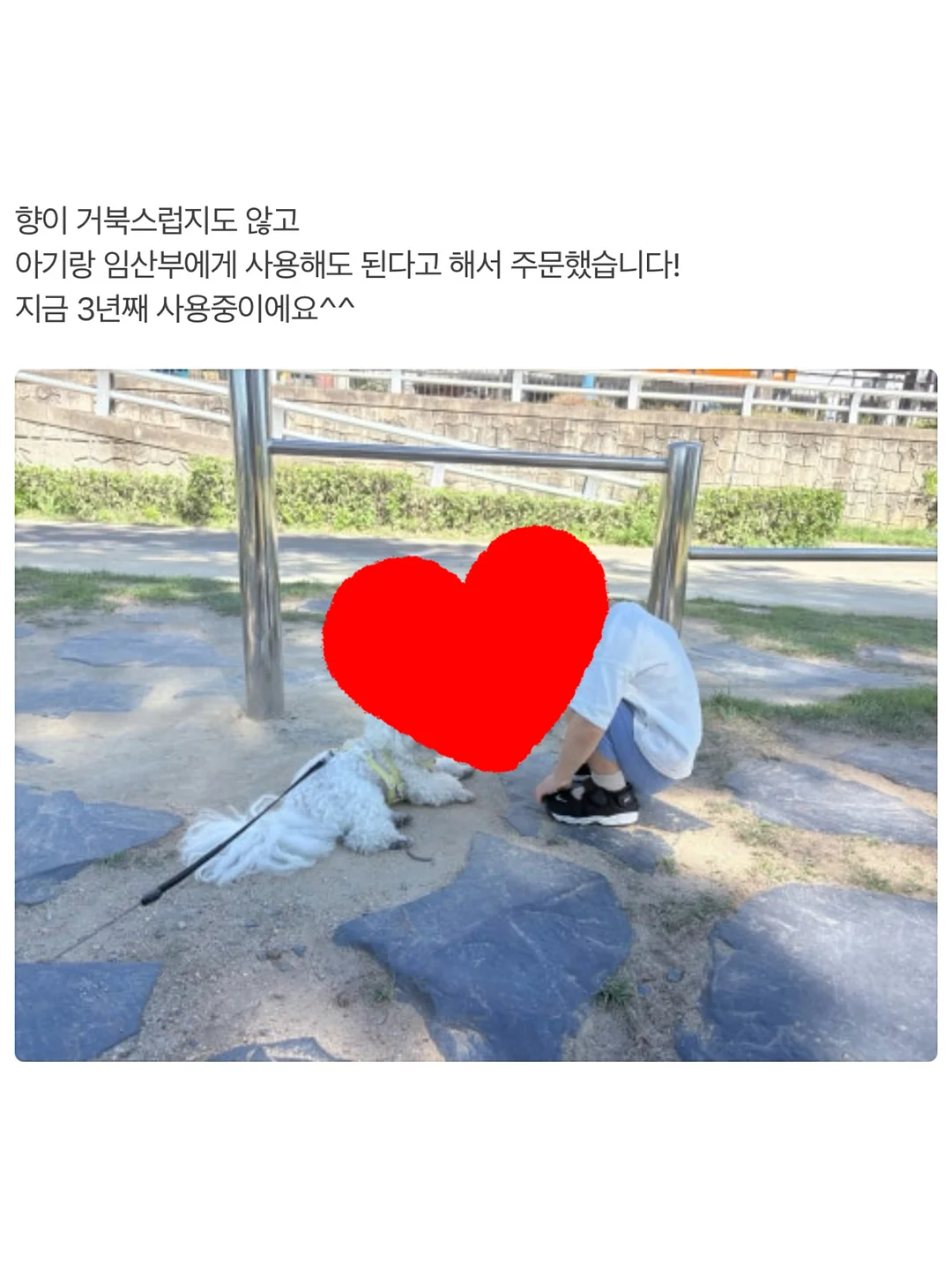 등 근육 활성화 운동 3