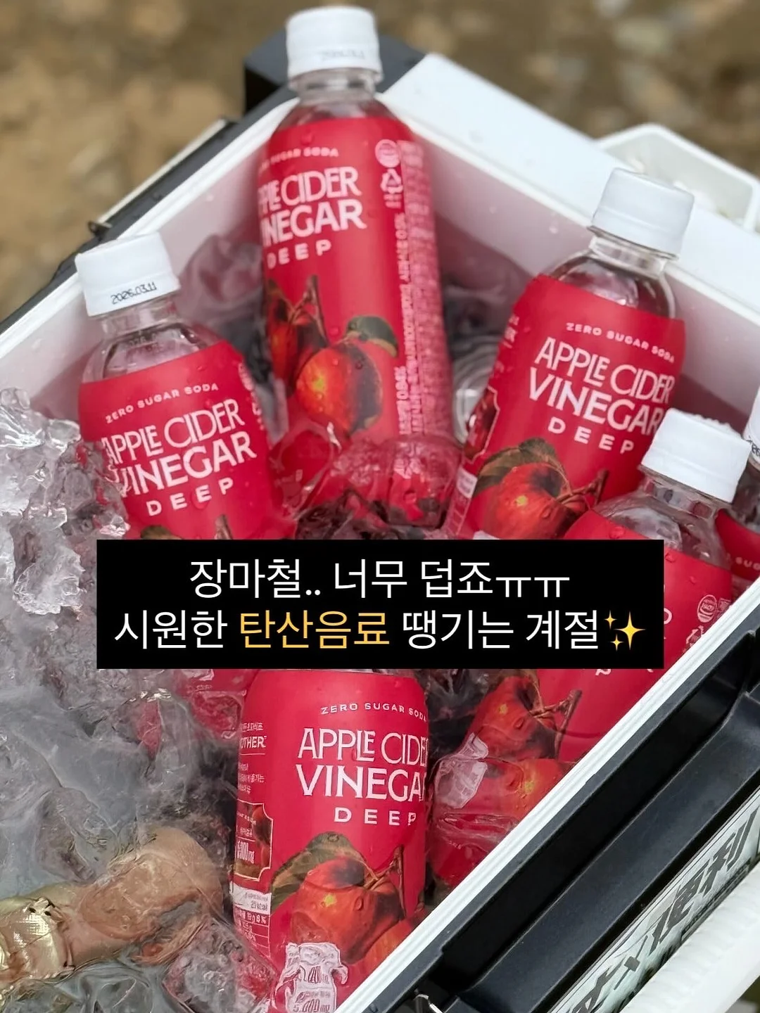 로이츠 베이글 1