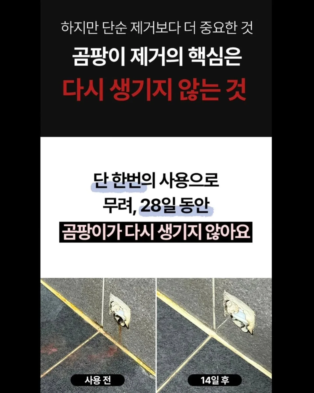 하이큐!! 카라스노 미니 카메라 2