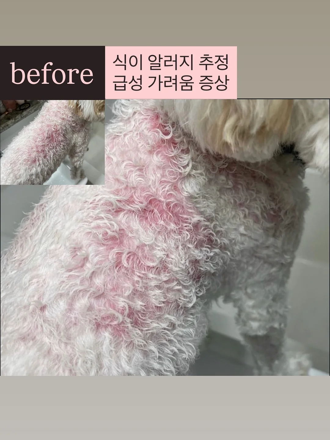 팔레타이징 로봇 렌탈 11