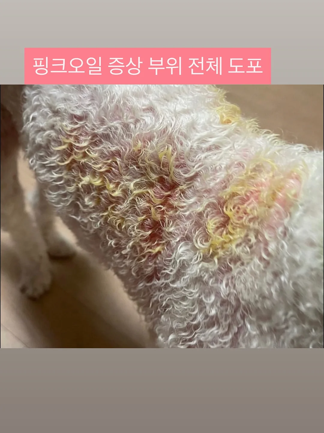 팔레타이징 로봇 렌탈 12