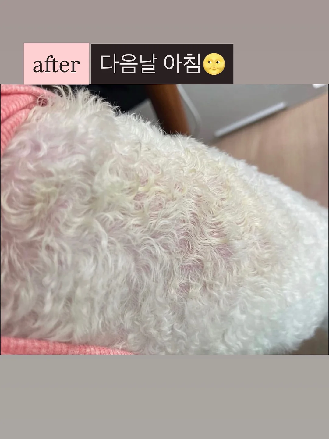 팔레타이징 로봇 렌탈 13