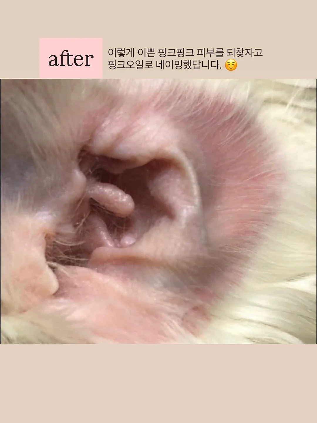 팔레타이징 로봇 렌탈 15