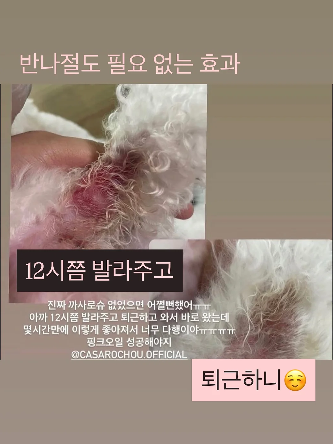 팔레타이징 로봇 렌탈 17