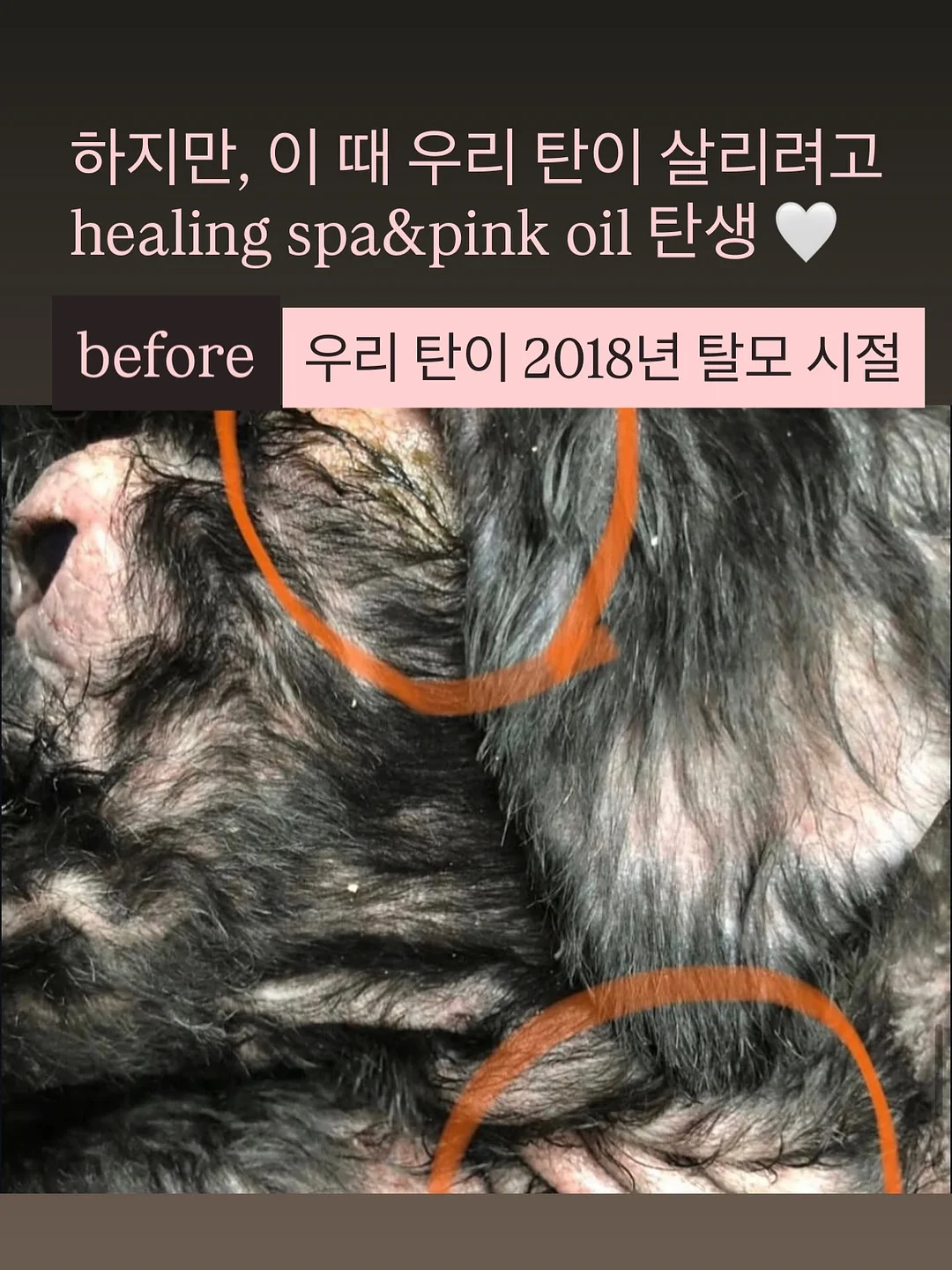 팔레타이징 로봇 렌탈 18