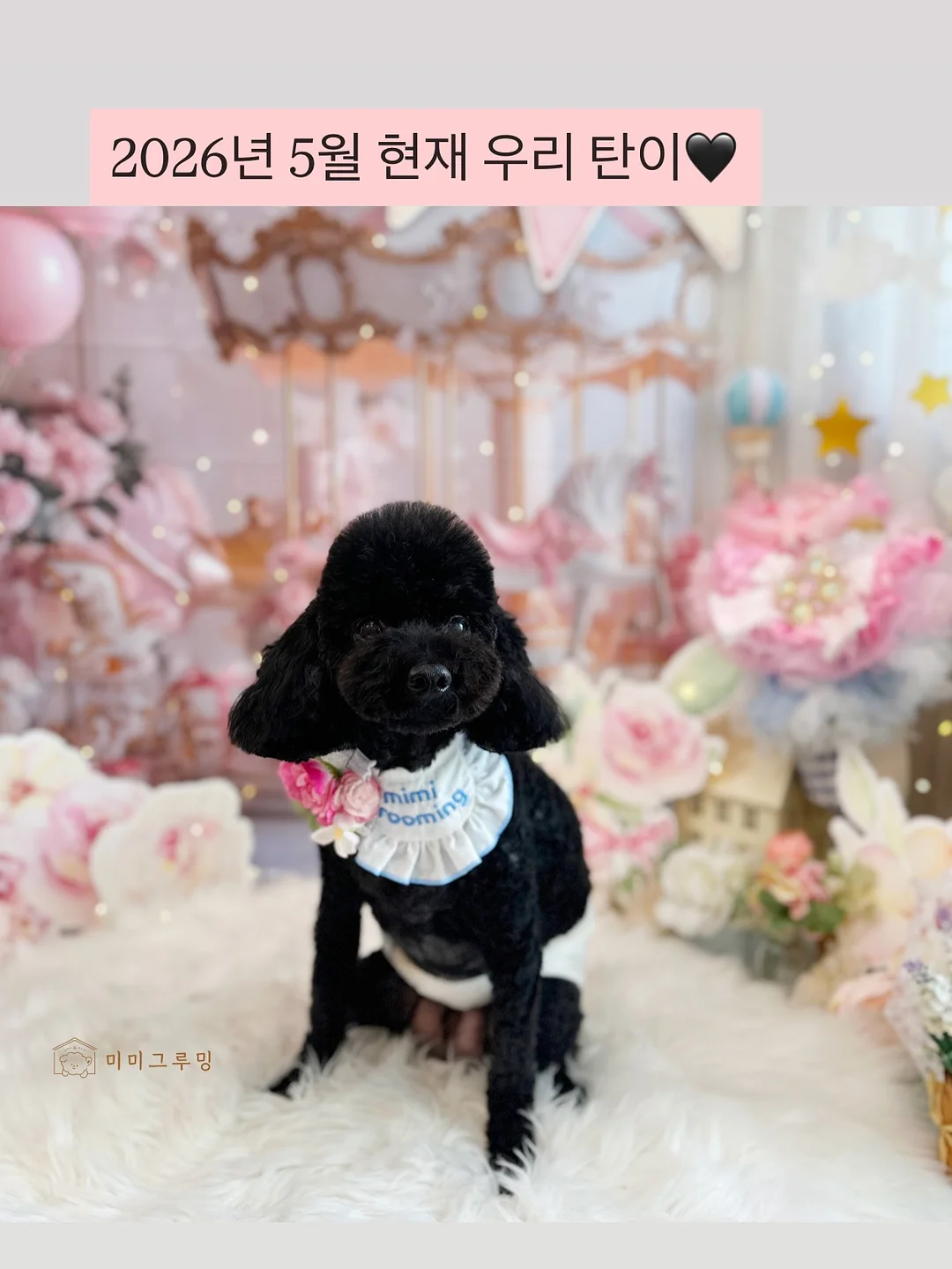 팔레타이징 로봇 렌탈 19
