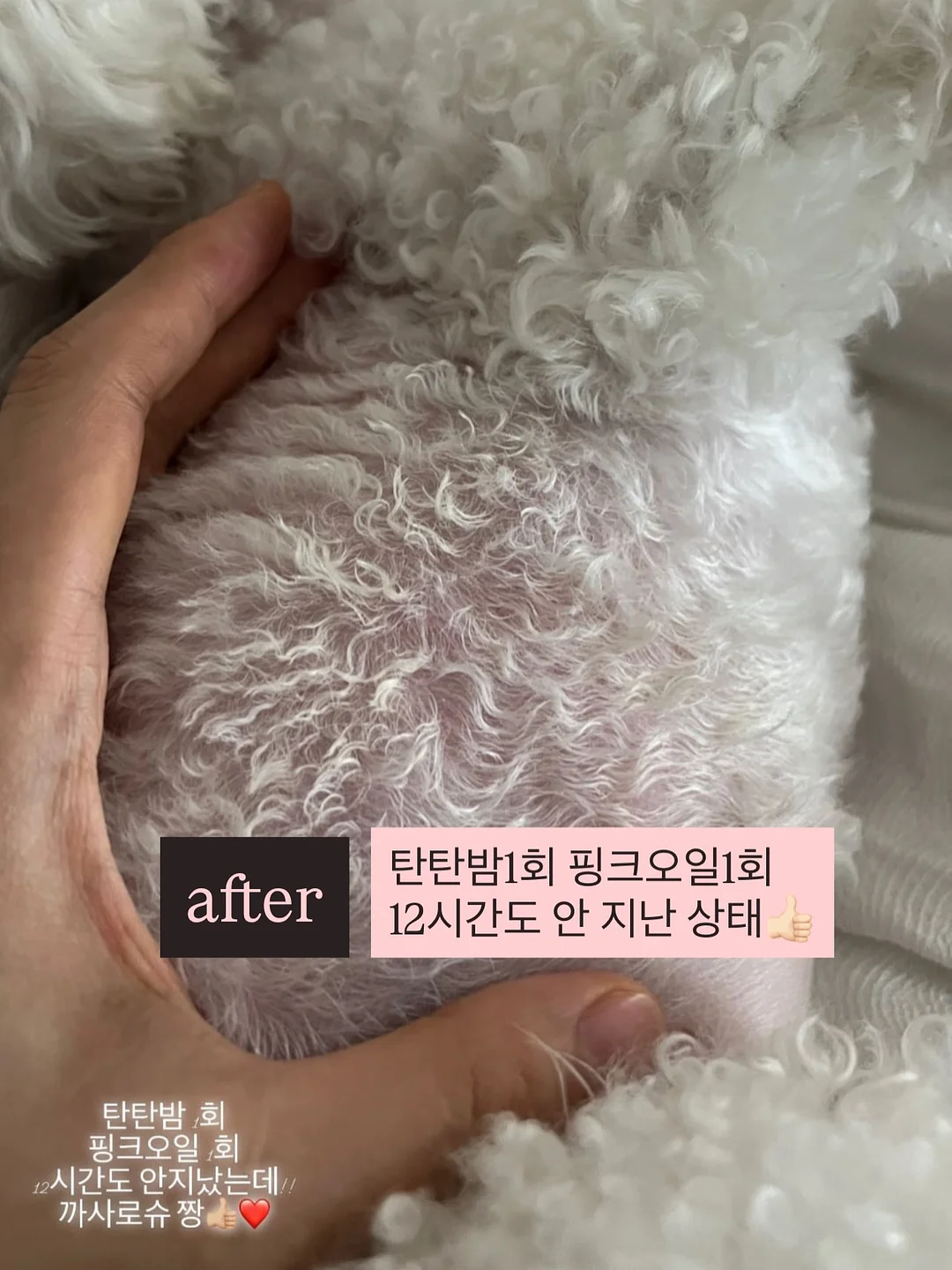 팔레타이징 로봇 렌탈 3