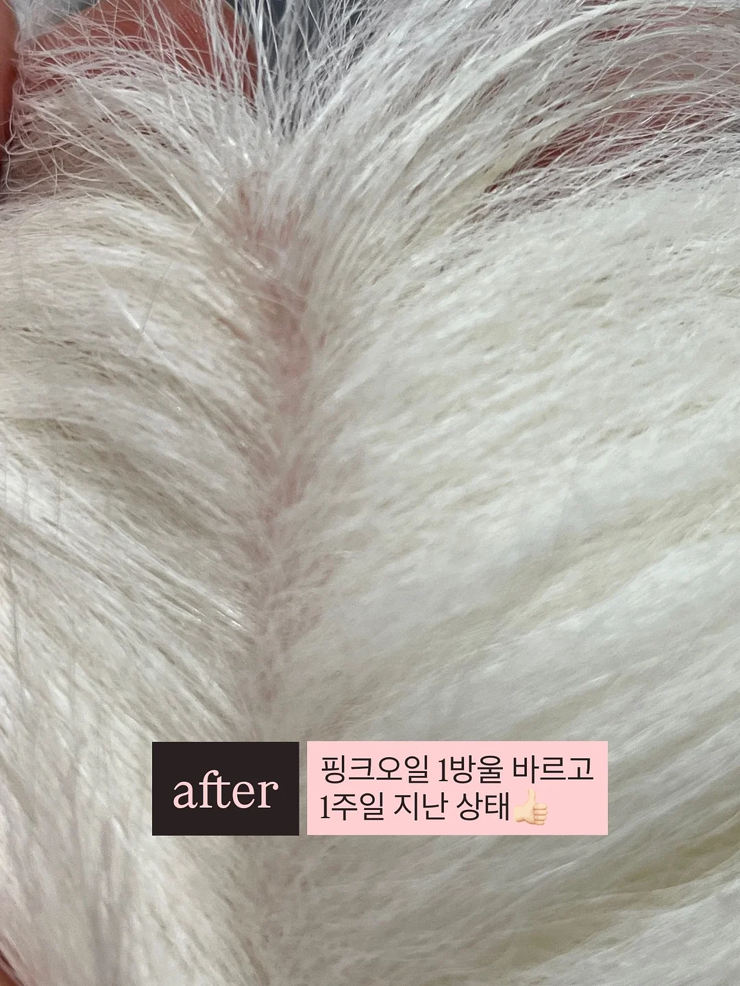 팔레타이징 로봇 렌탈 5