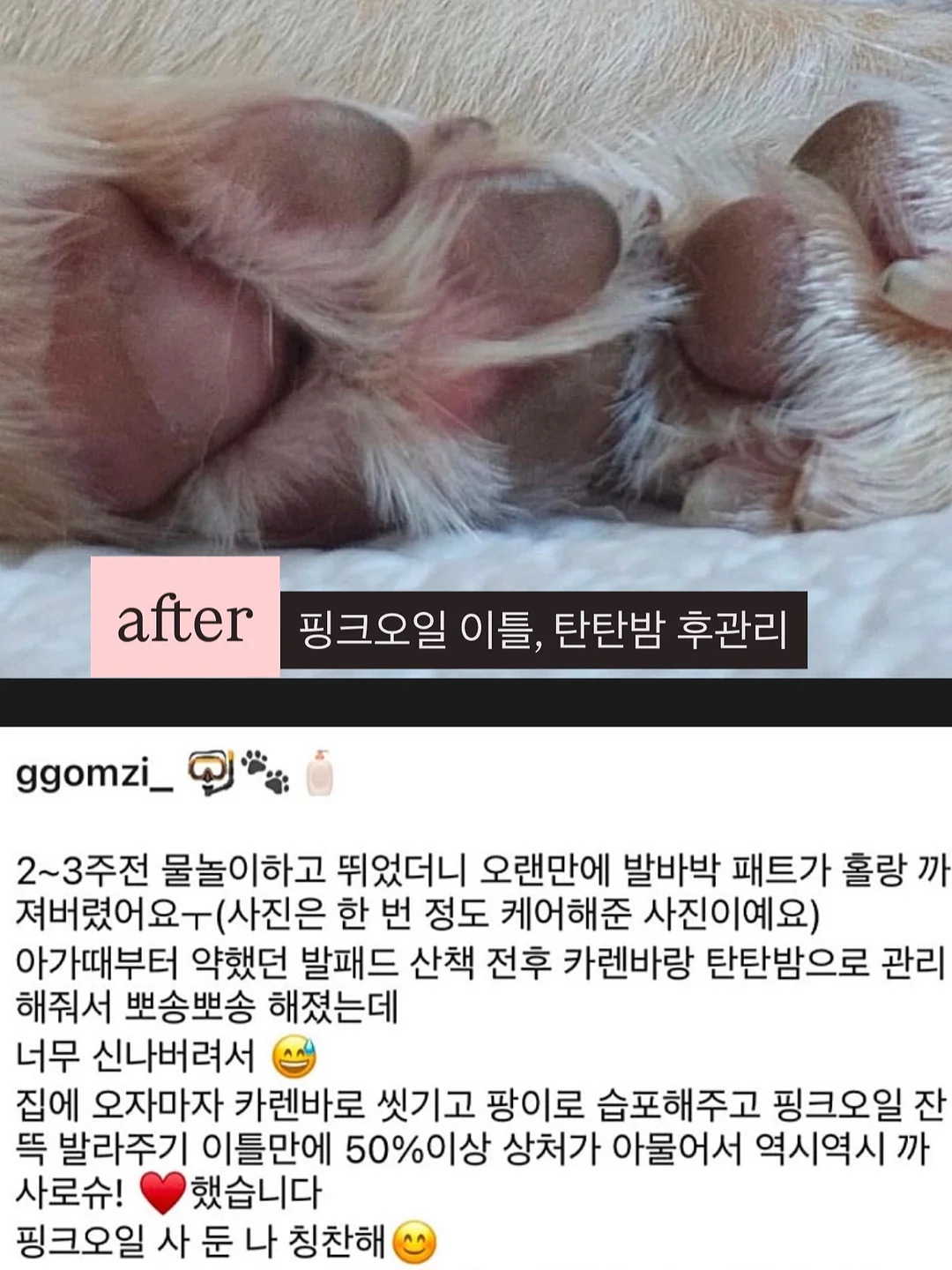 팔레타이징 로봇 렌탈 8