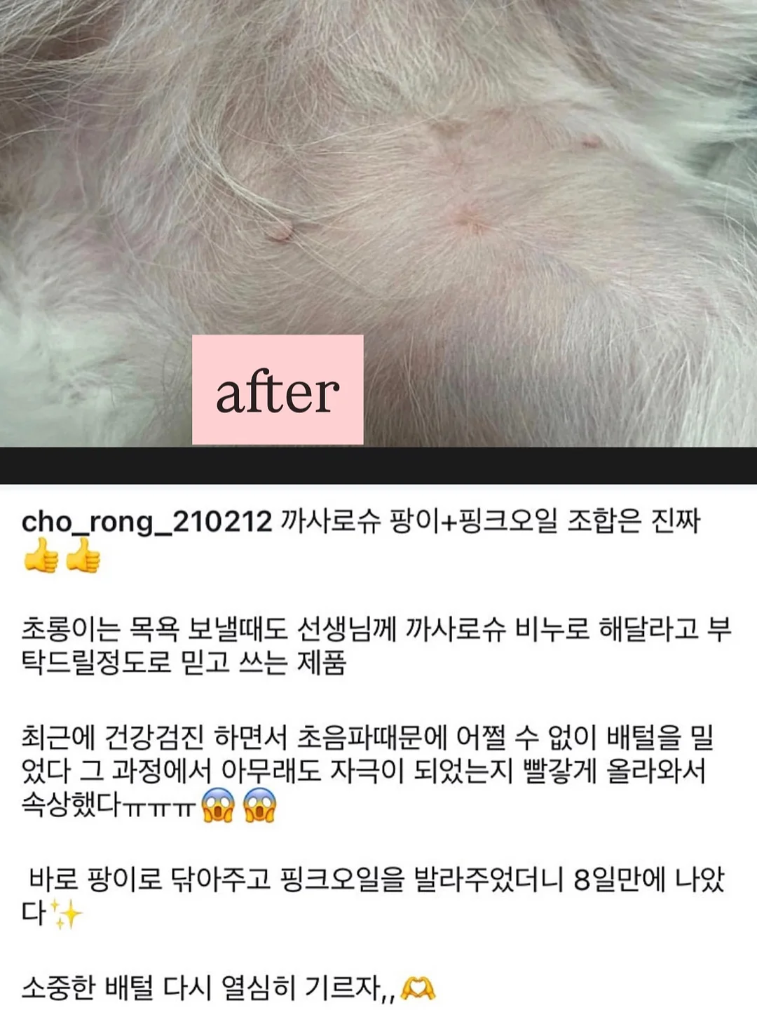 팔레타이징 로봇 렌탈 10