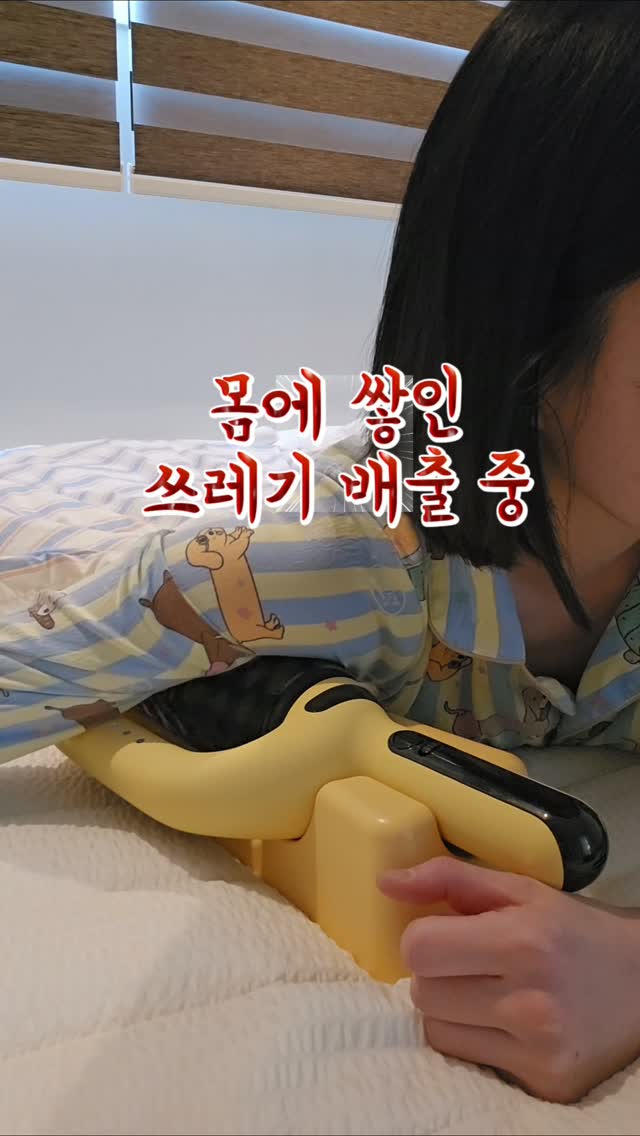 아오스타 까멜리아