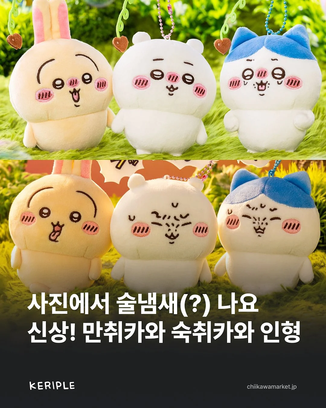 상봉동신축빌라 1