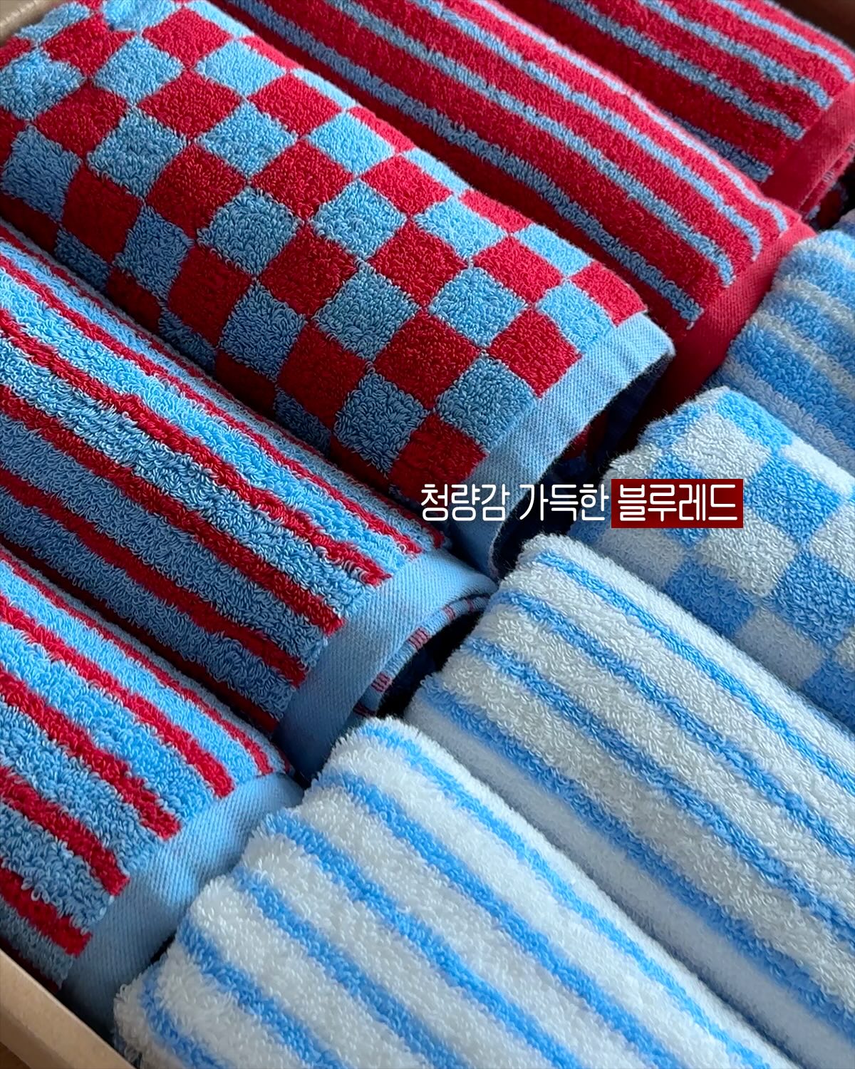 파란장미 2