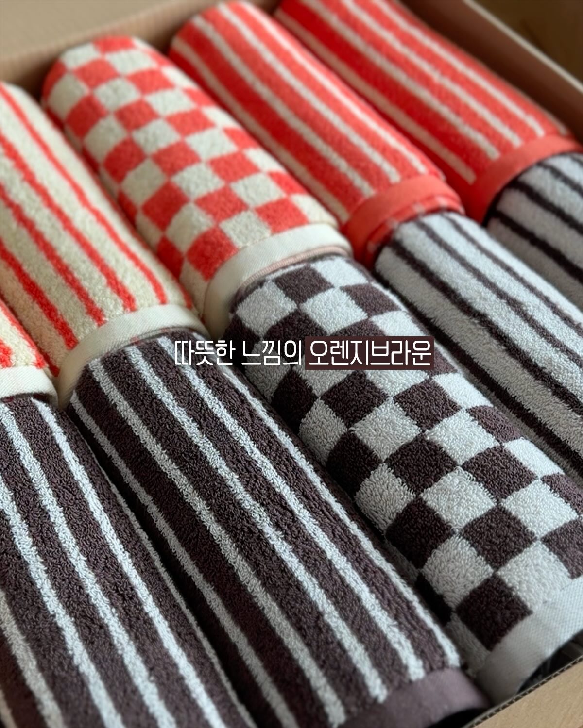 파란장미 3
