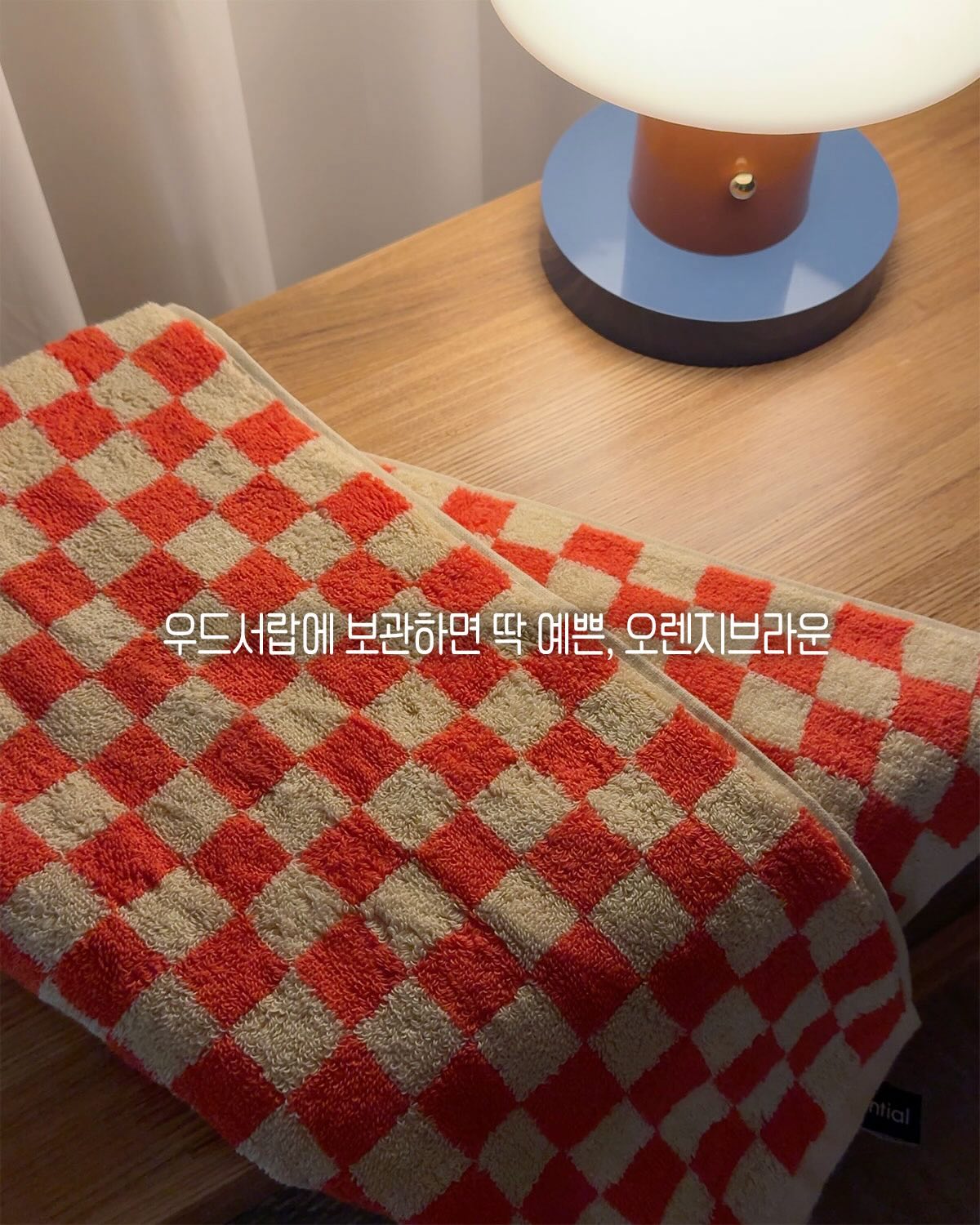 파란장미 4