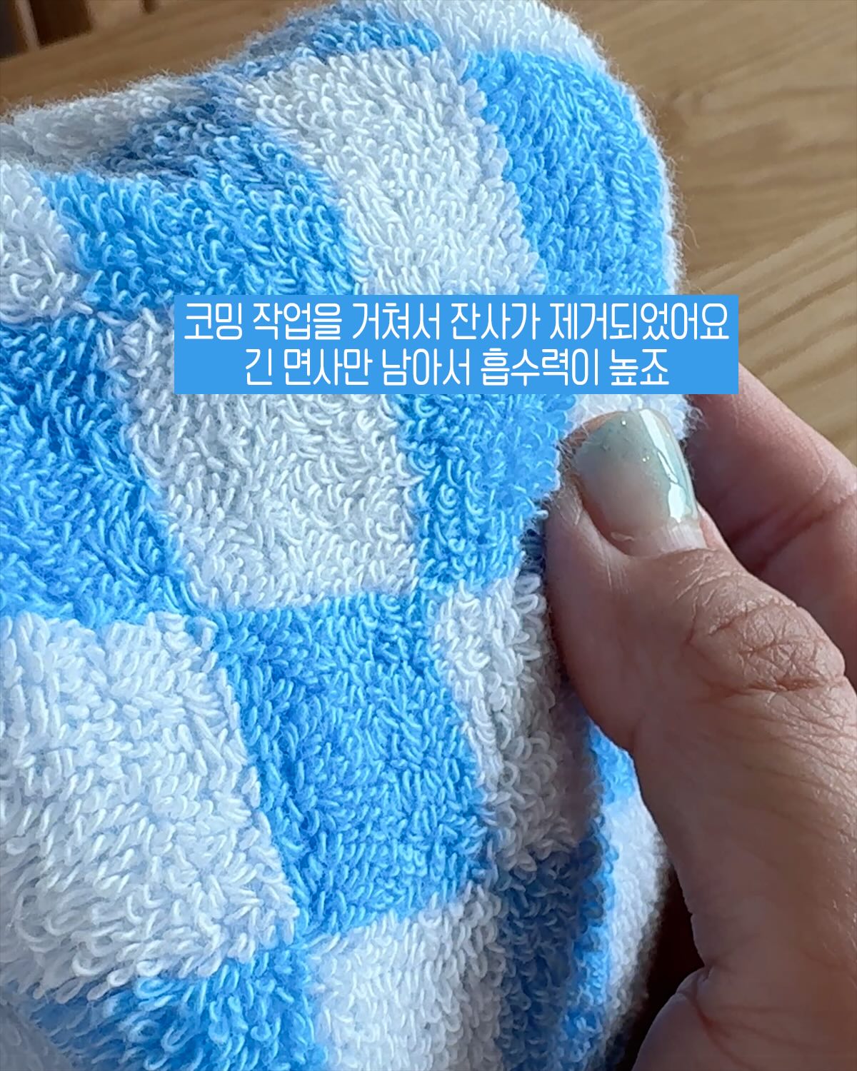 파란장미 8