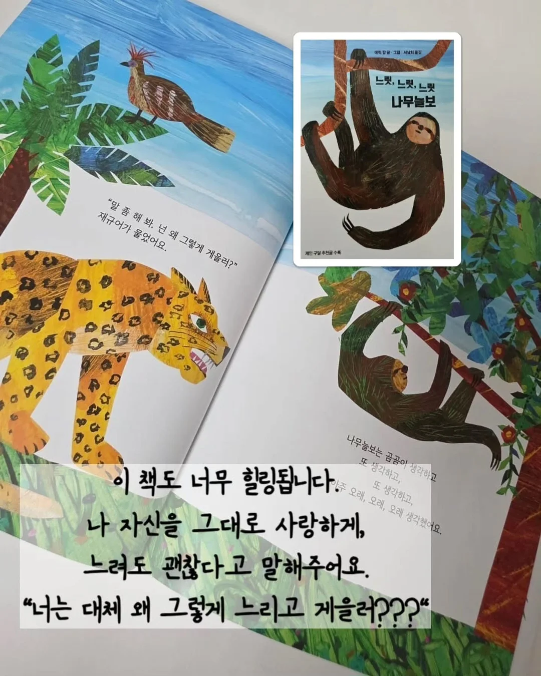 호박 치마 수면조끼 13