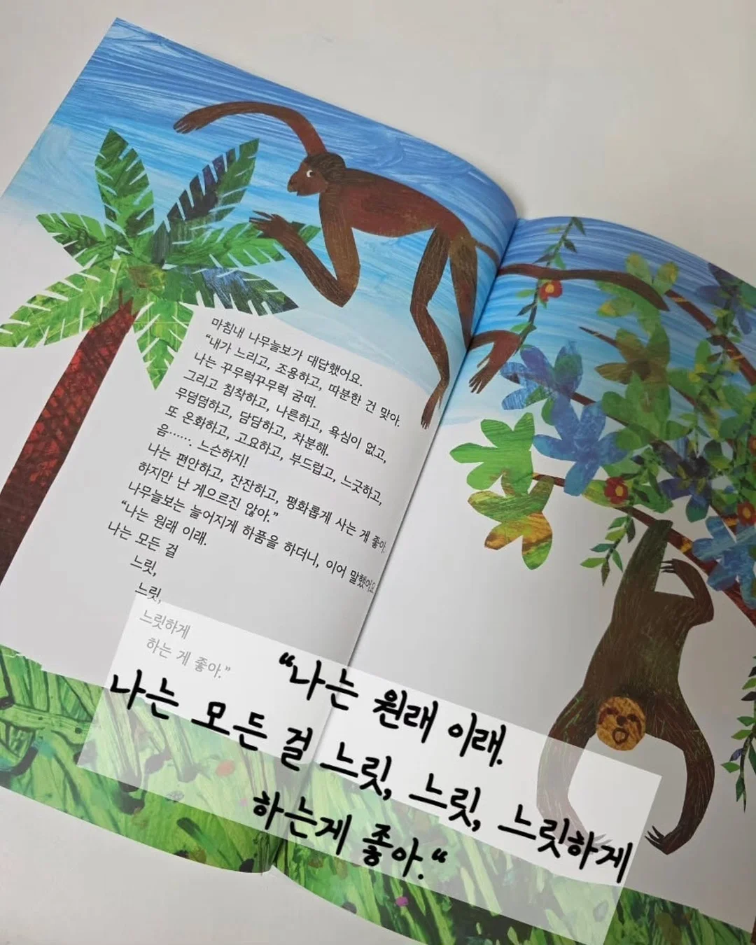 호박 치마 수면조끼 14