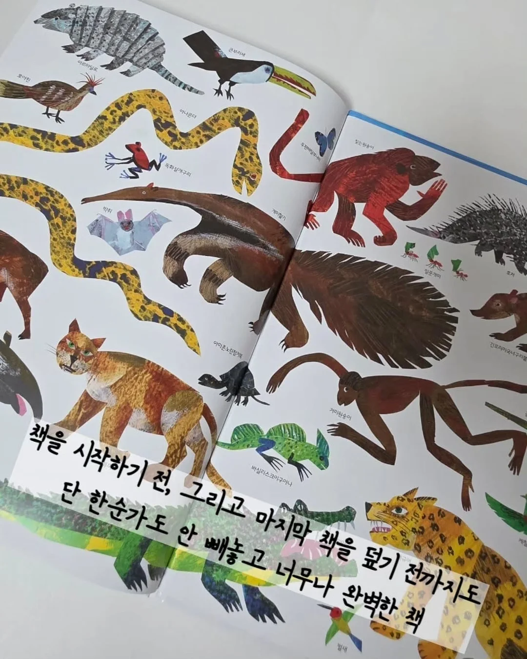 호박 치마 수면조끼 15