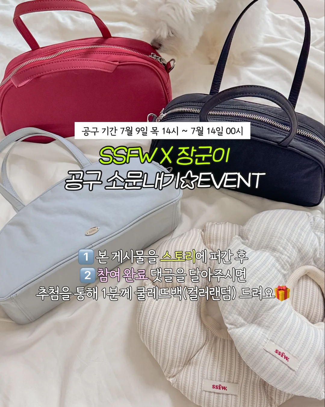 베스트 셋업 1
