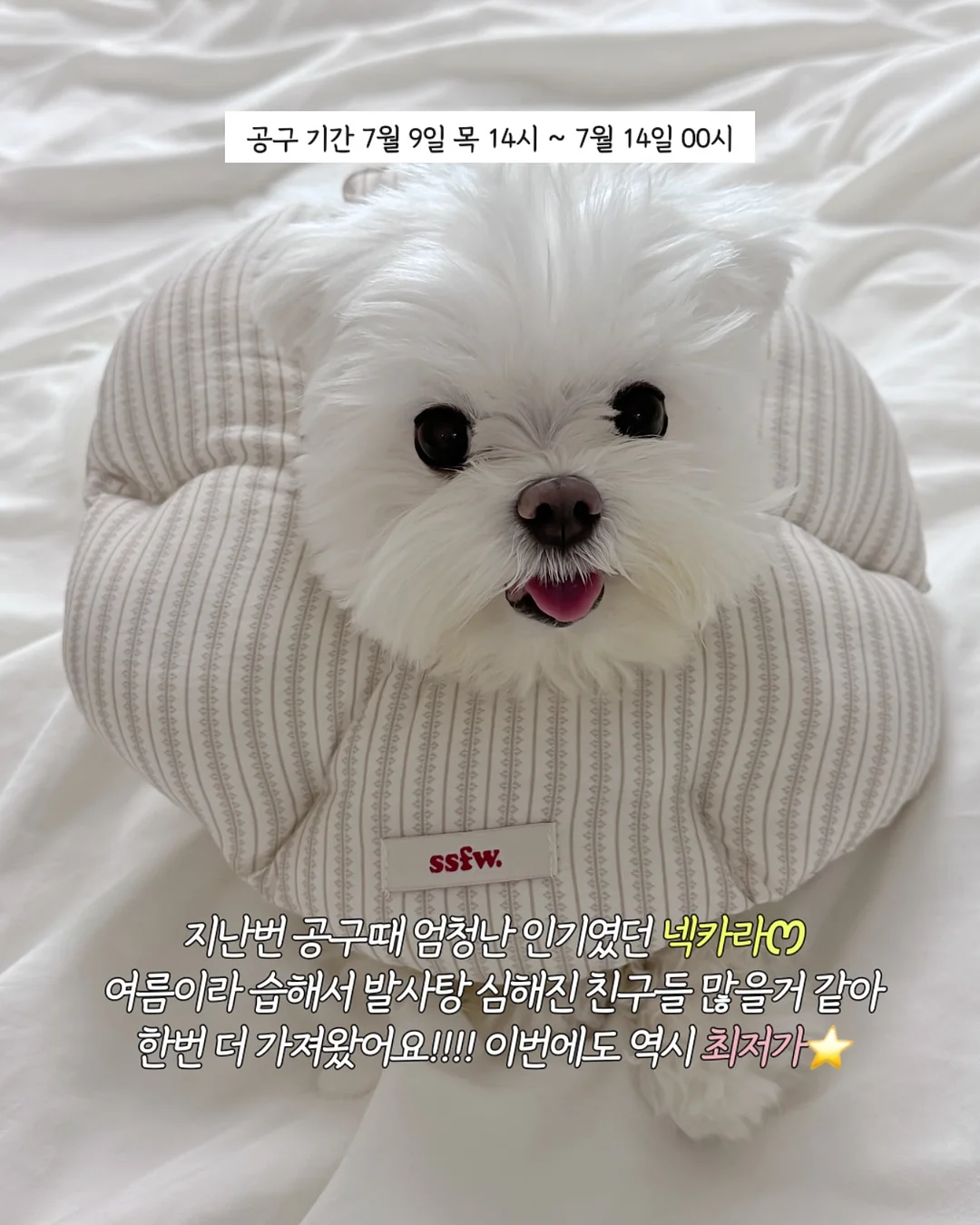 베스트 셋업 3