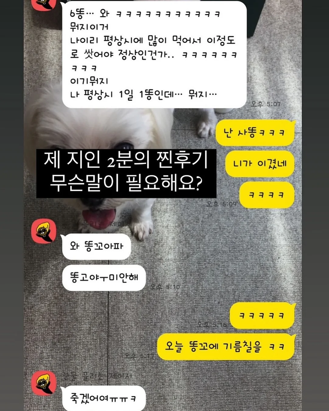 해바라기 데이지 나비 화관 11