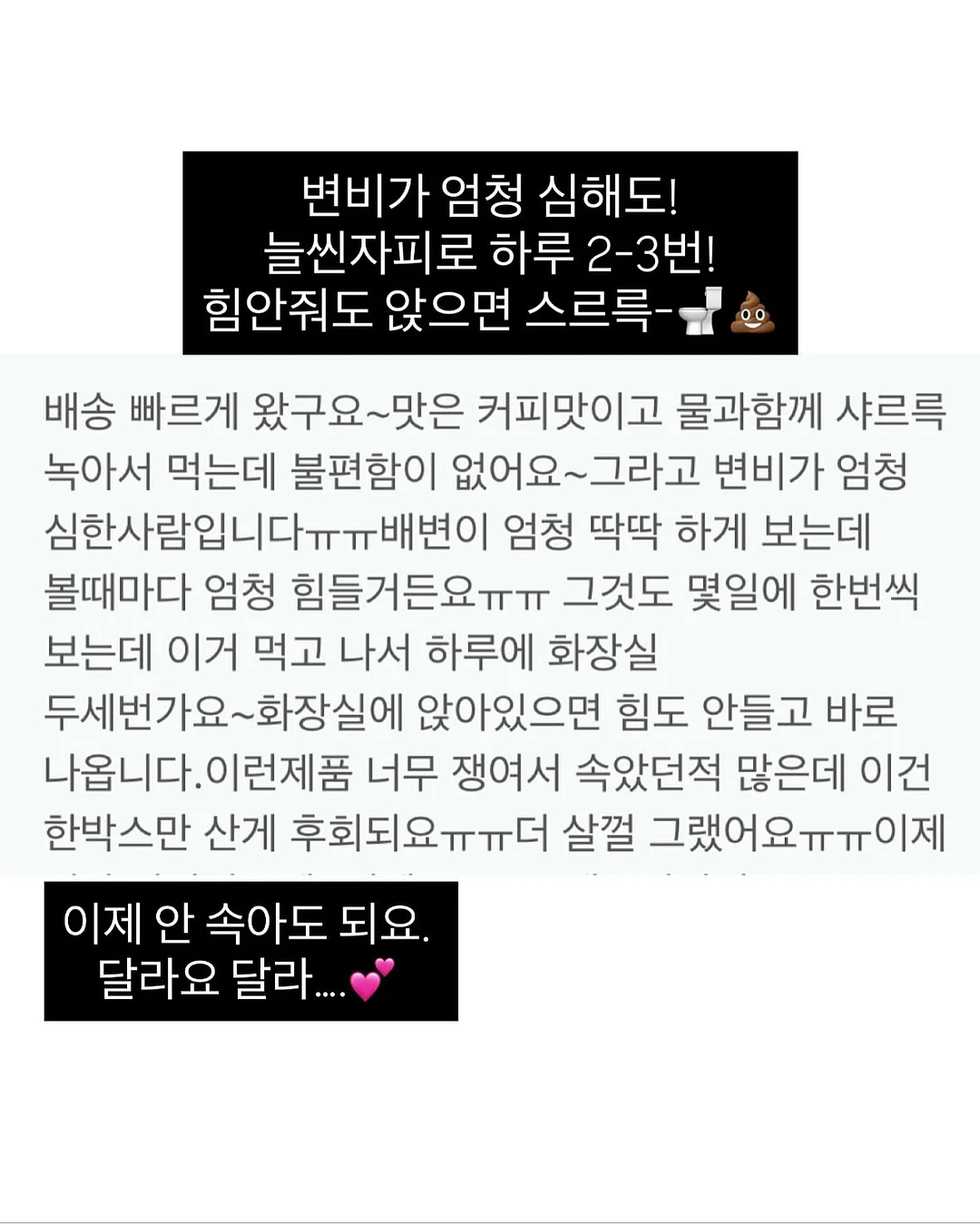 해바라기 데이지 나비 화관 13
