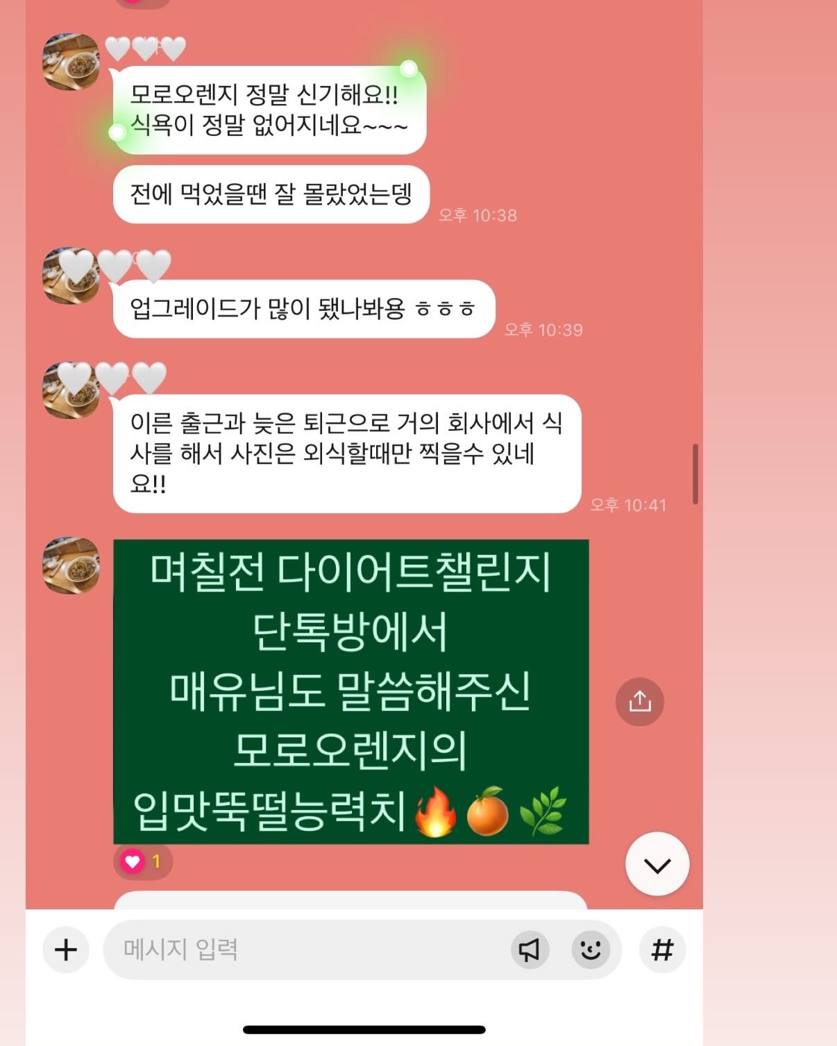 디그린 여름 신상 3