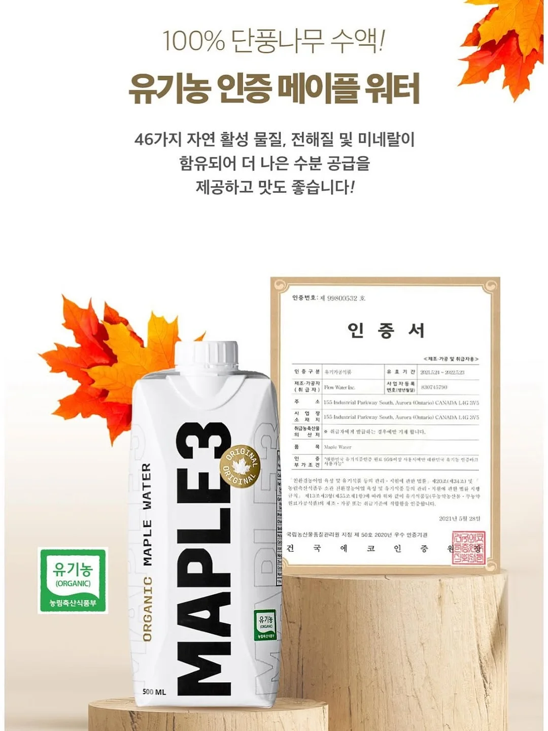 브라이덜샤워 글리터 7