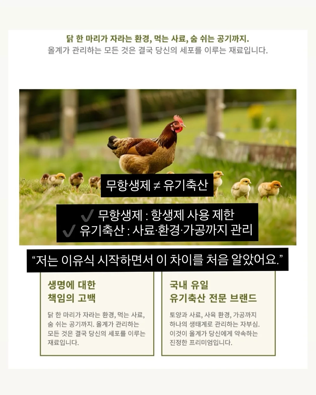 화이트 제로필 탐폰 6