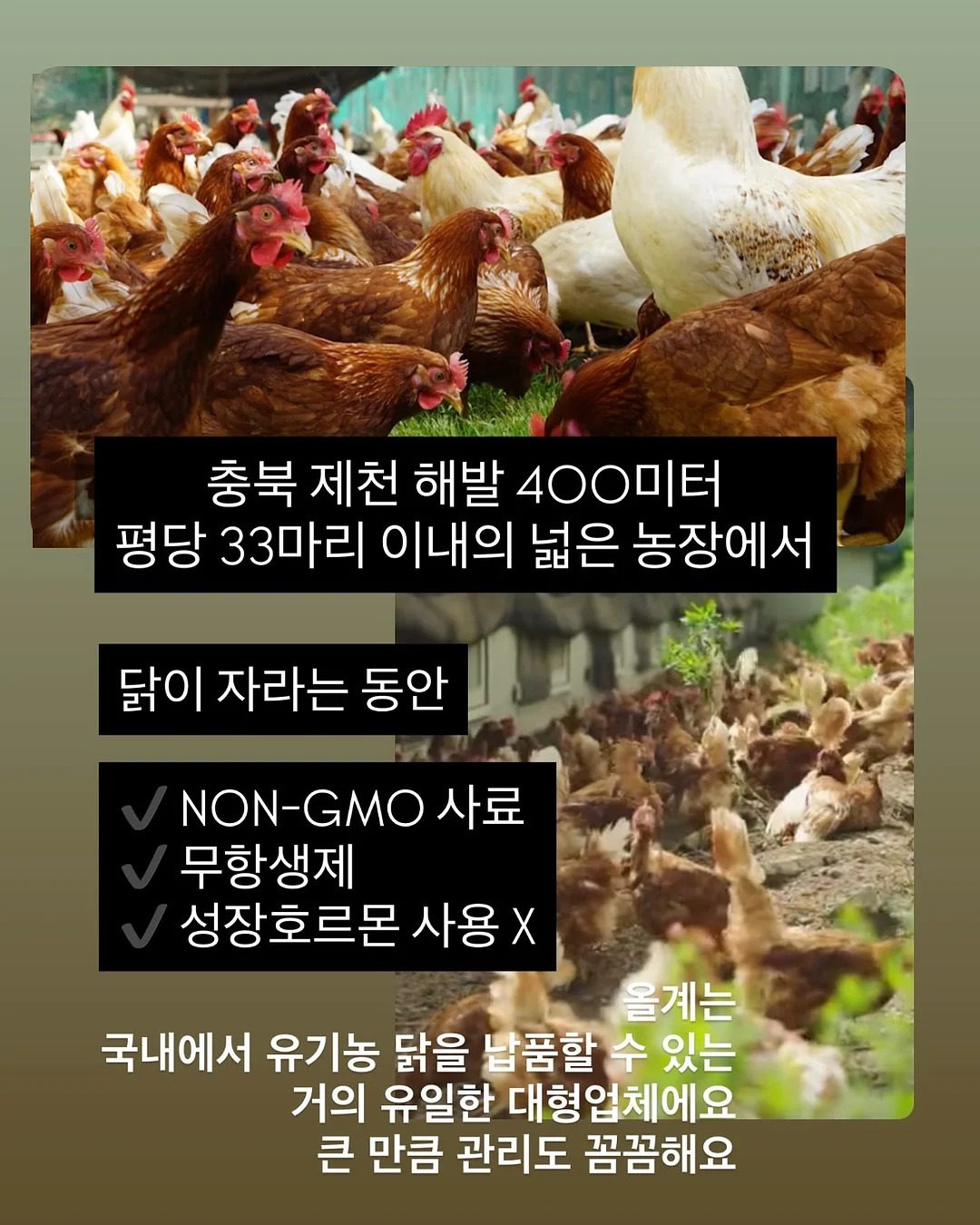 화이트 제로필 탐폰 9