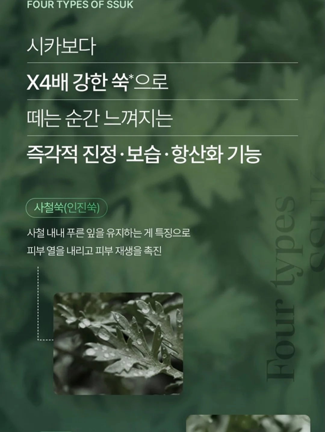 푸꾸옥 자유여행 17