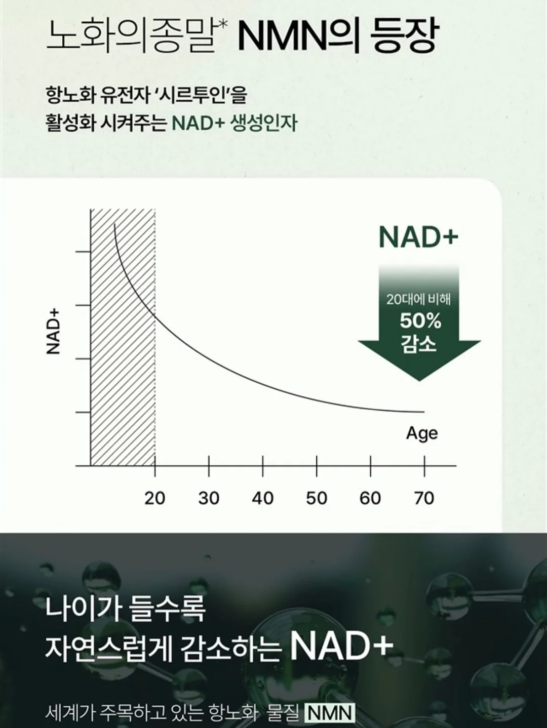 푸꾸옥 자유여행 19
