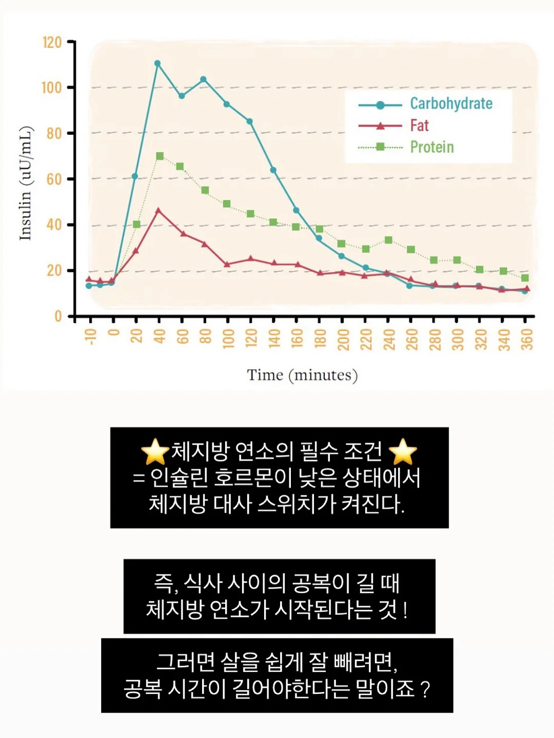 시아블링 10