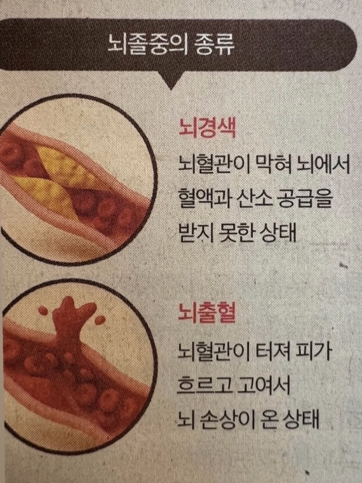 자라 발레코어 플랫슈즈 11