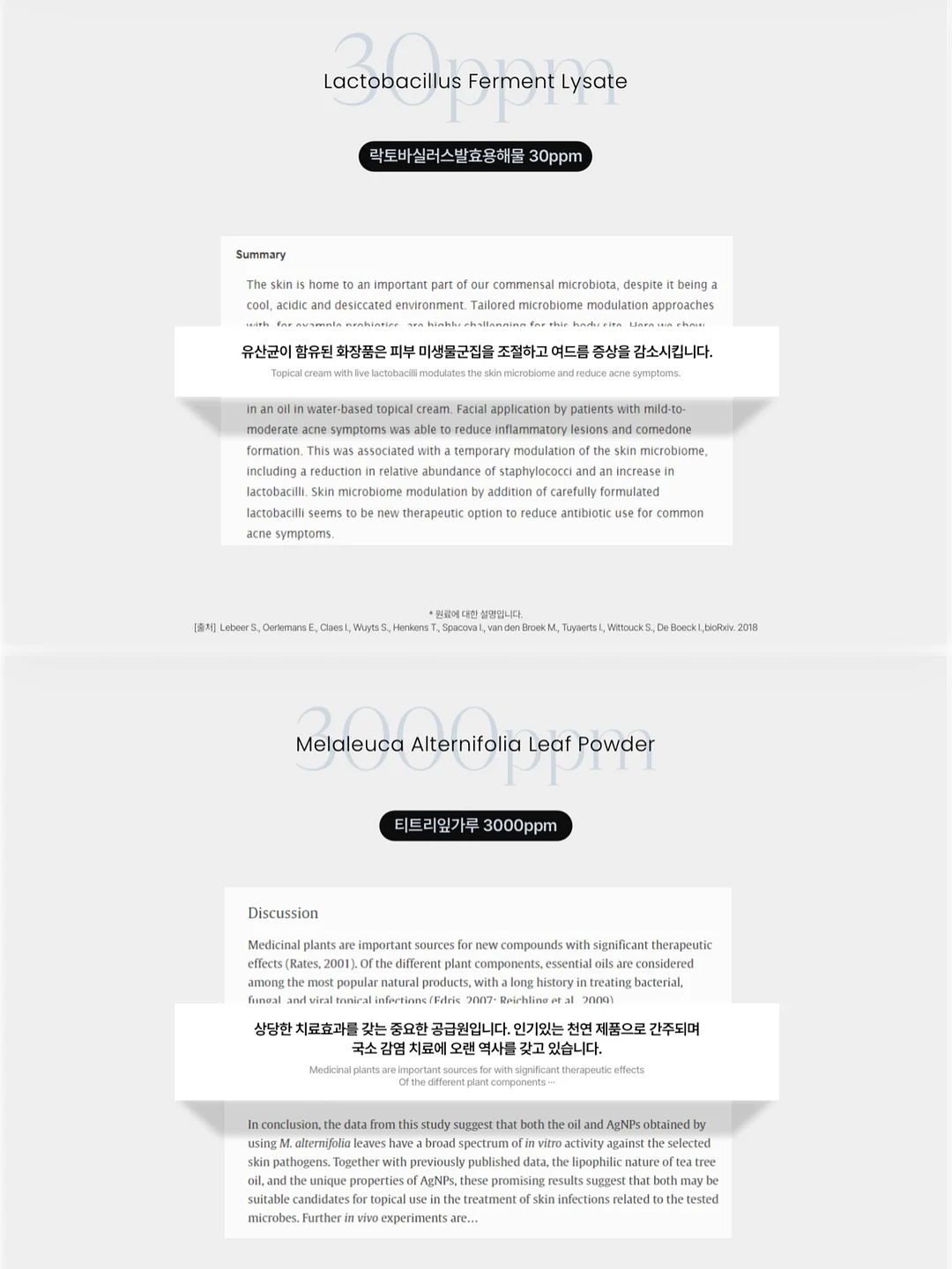 오늘의일상 망고베이스 10