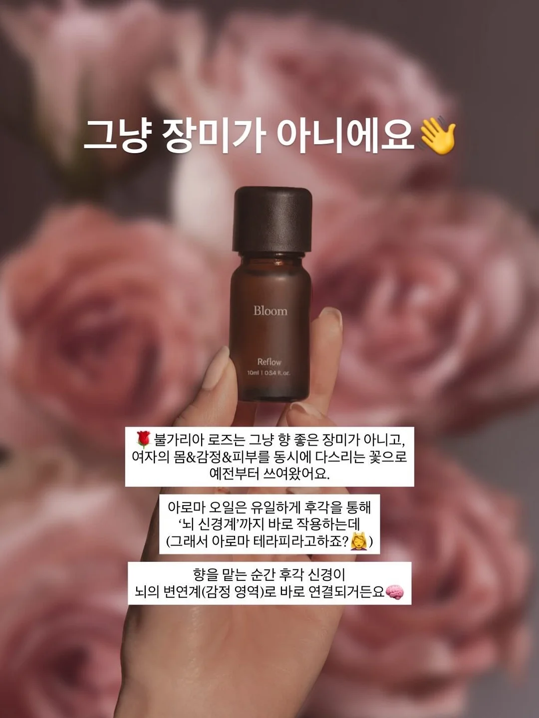 별하수 보리차 1L 2