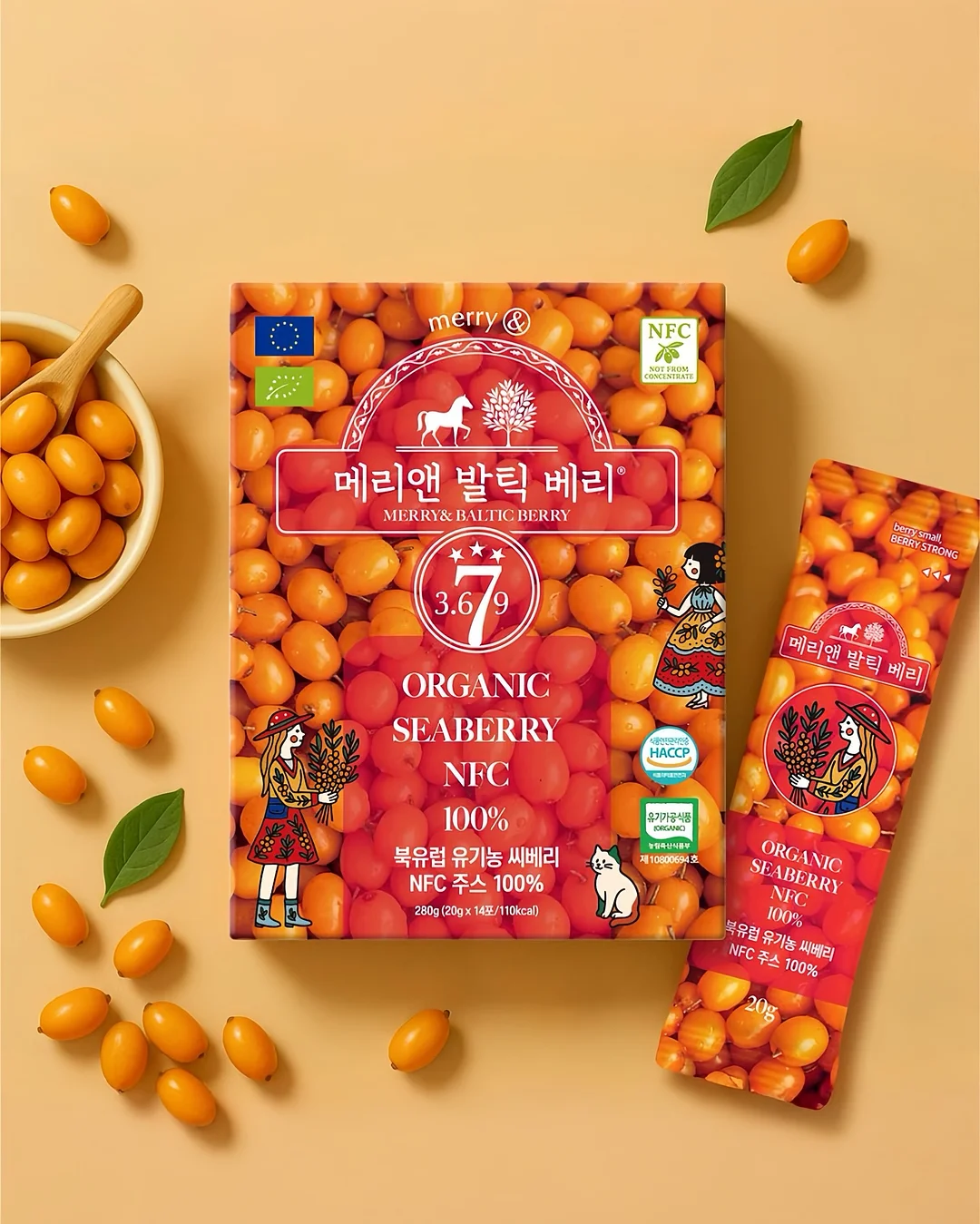 녹담비책 1